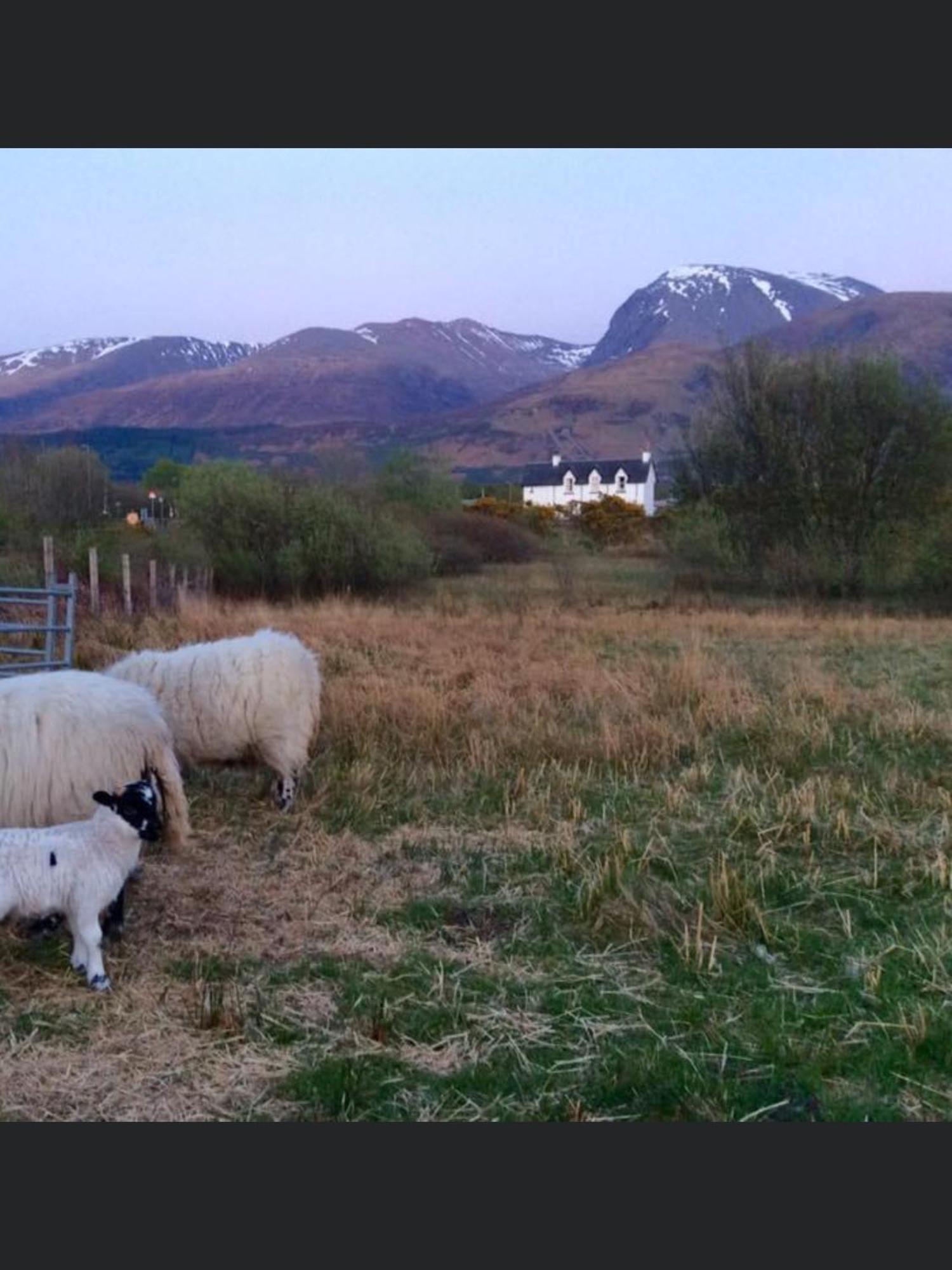 The Shielings By Inverlochy Villas Fort William Eksteriør billede